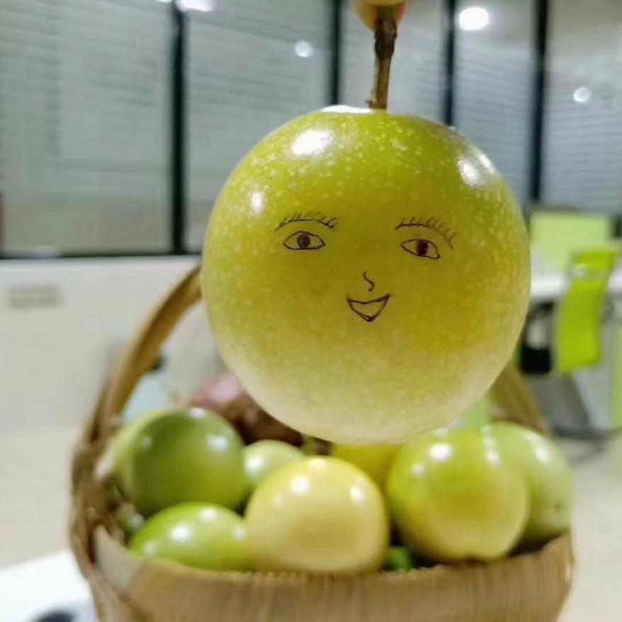 NIOCC雪地靴工厂店