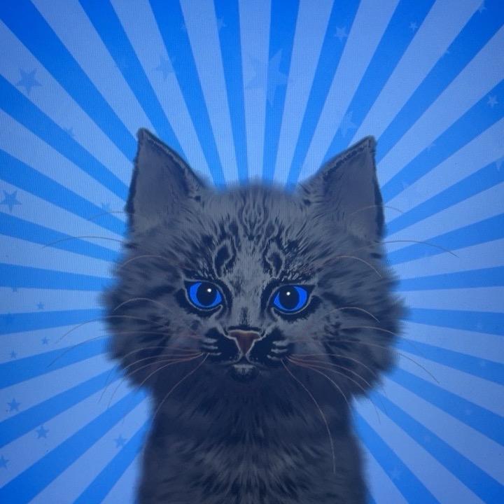 爱跑路的黑猫