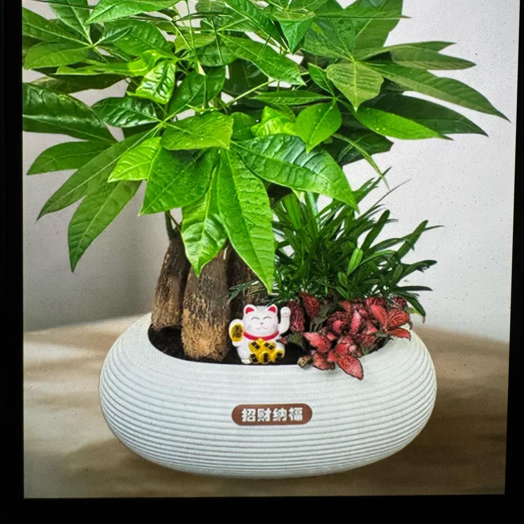 河畔花园
