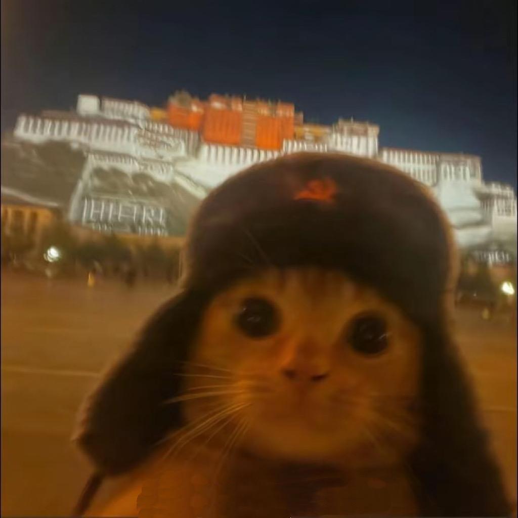 栖暇