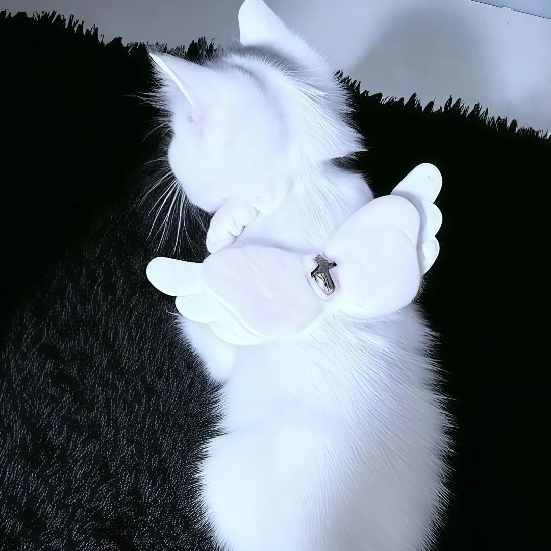 zᙆ-y