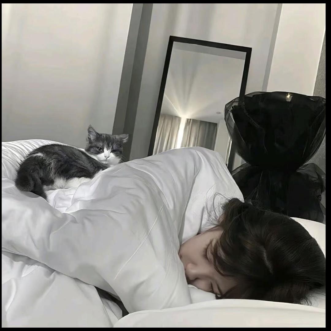 小羊羔