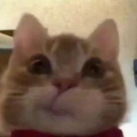 12222