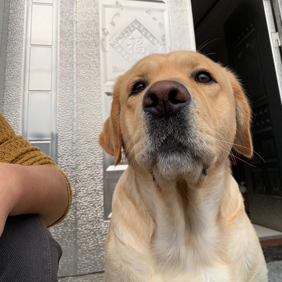 🌸🌸岁月静好