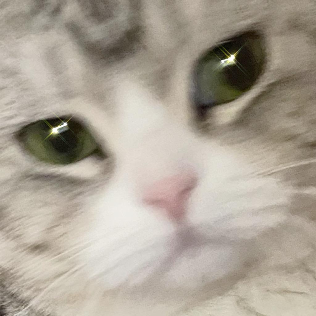 耶比小斯