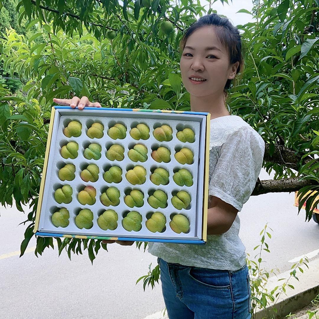 李之味蜂糖李-小马