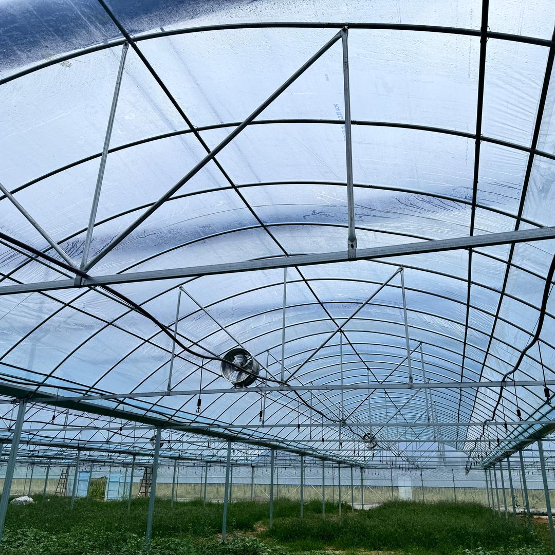 天津天工伟业连栋大棚厂家