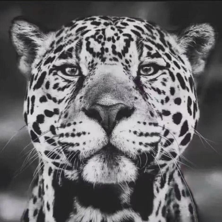 此生不忘未知情