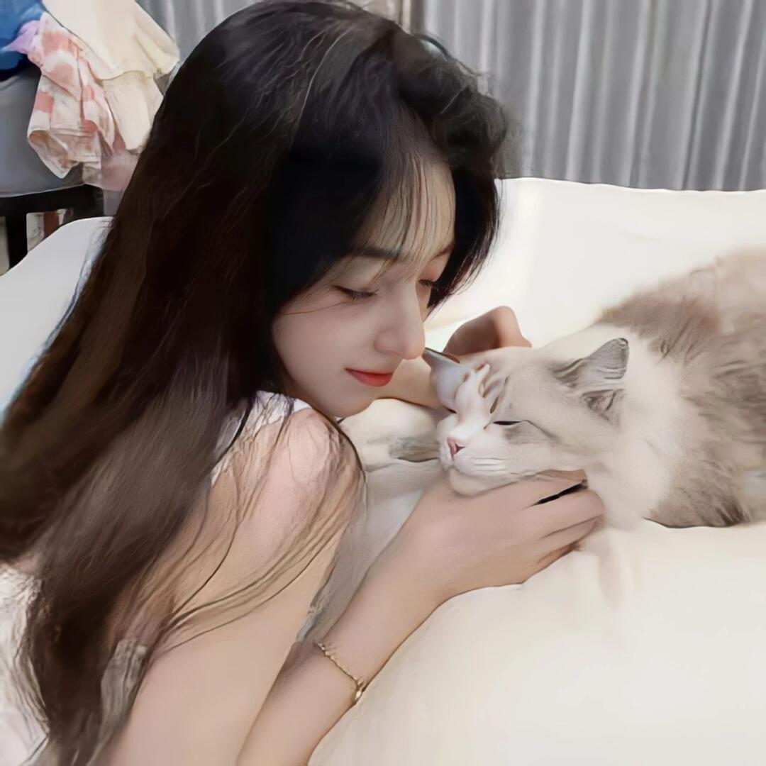 小猫爱玩游戏