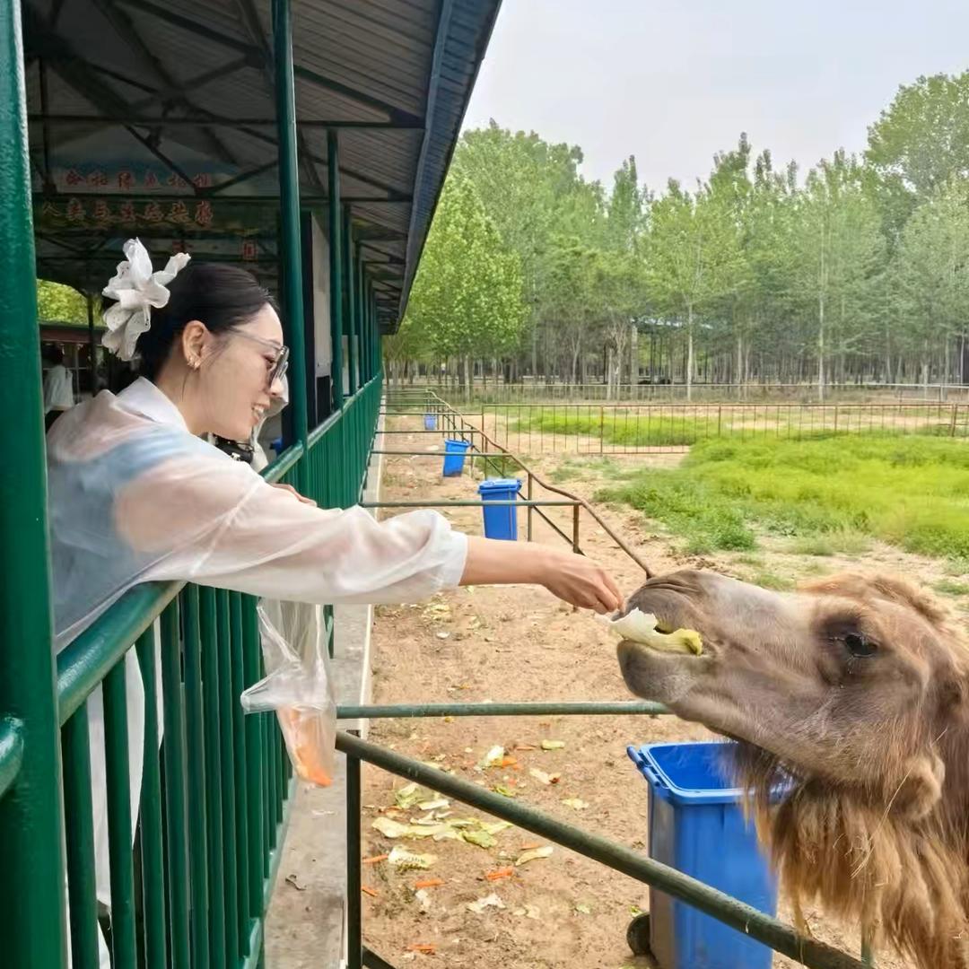Ms.Zhao