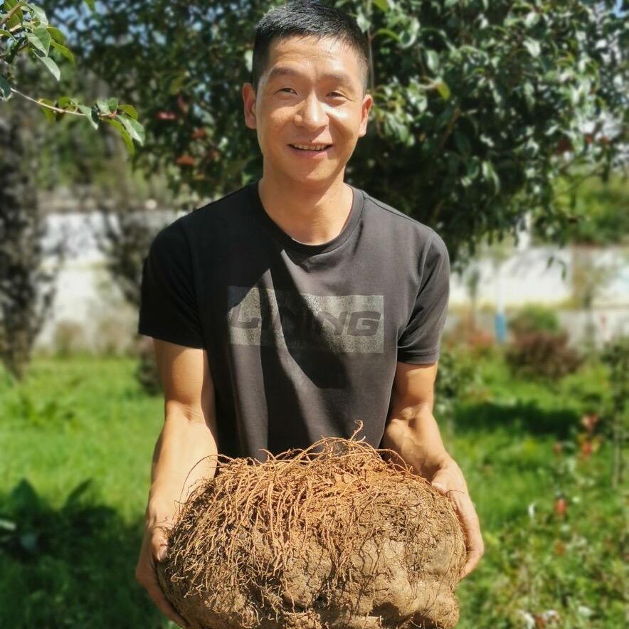 农人老张