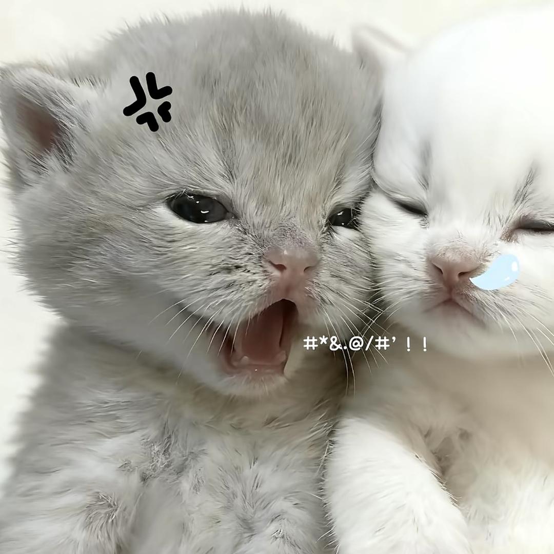 xyuan