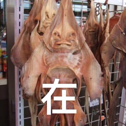 大海的鹅纸