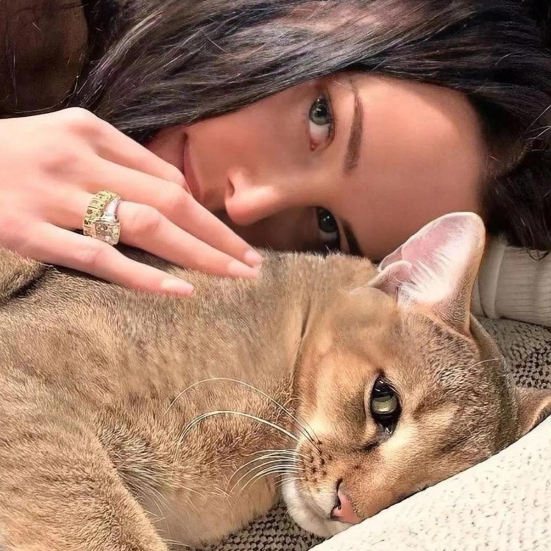 yuzi