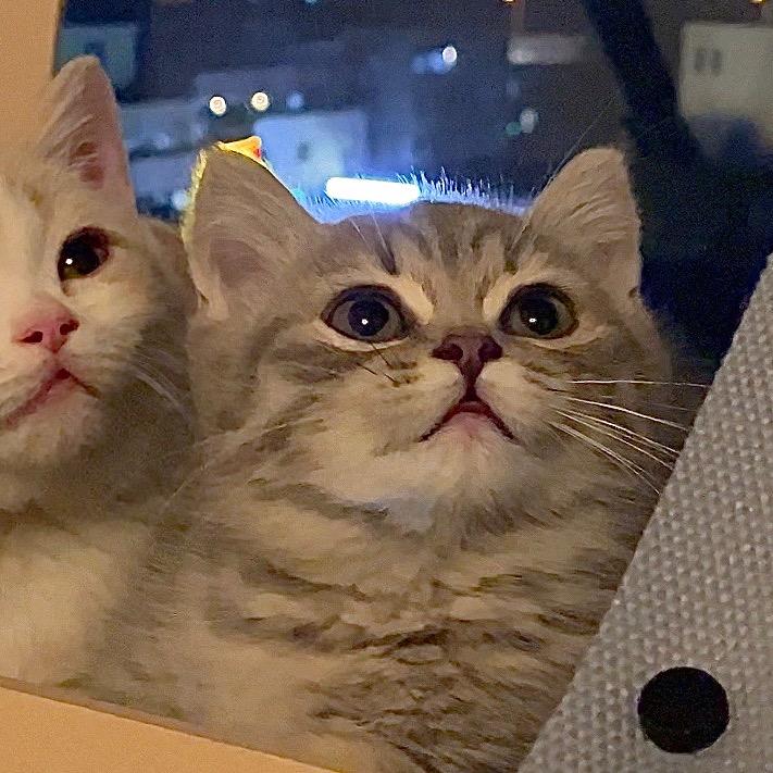 旺仔不是牛奶@抖音