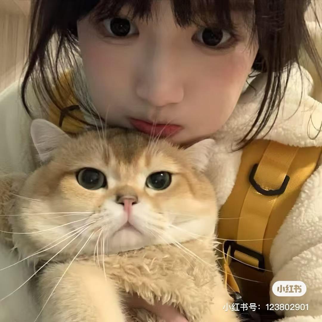 溪.