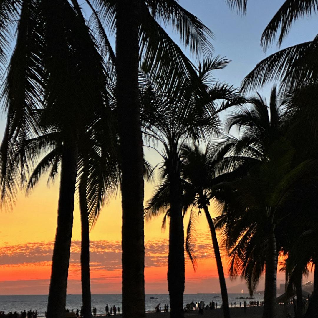 一天不搞抽象浑身难受