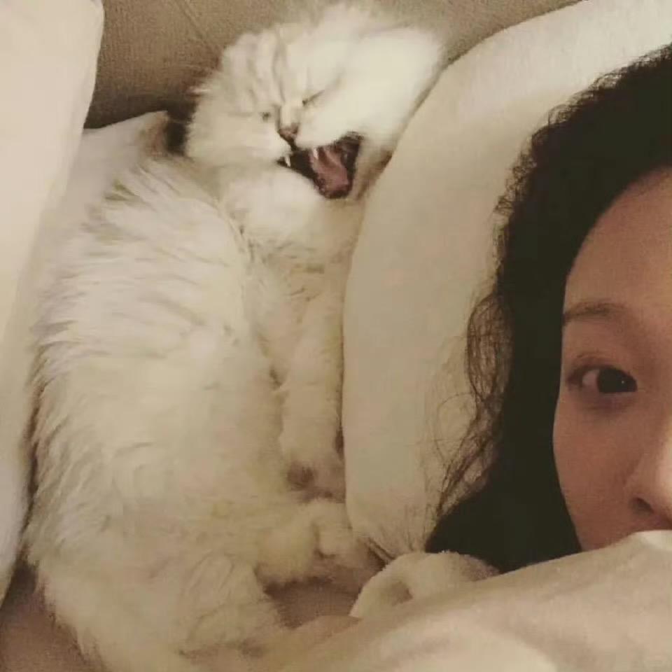 张六一.