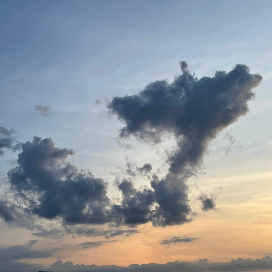 明牌鼠（三角洲行动）