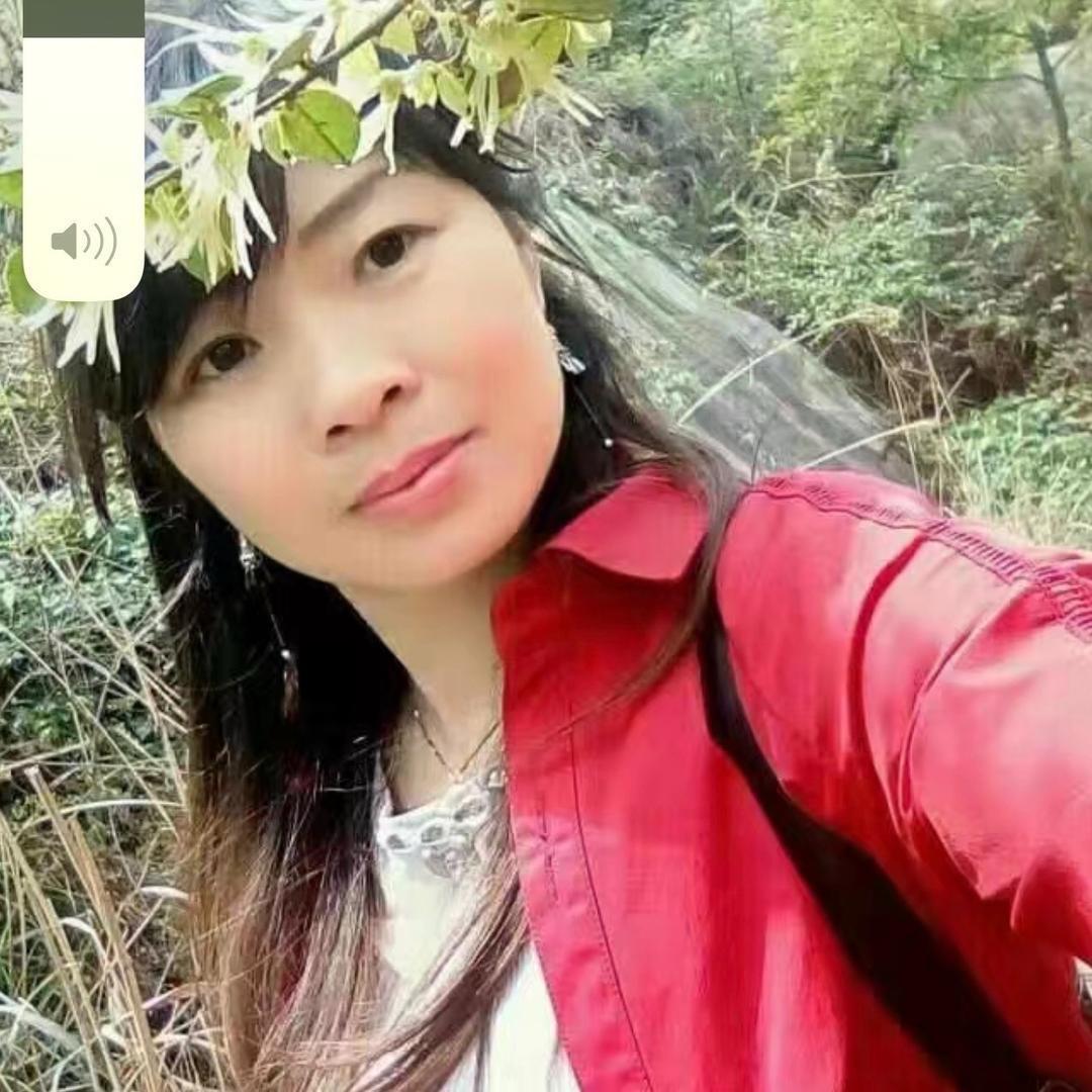老鼠爱大美