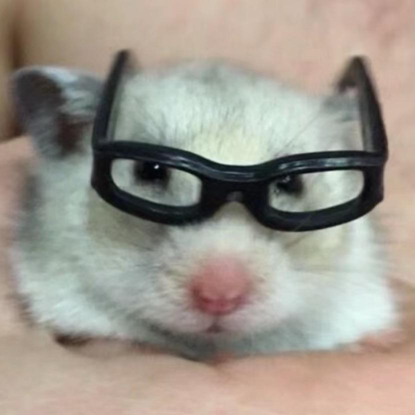一只盼