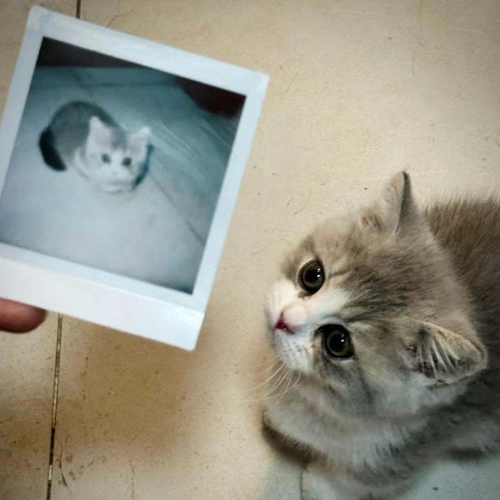 ˃ ⤙ ˂