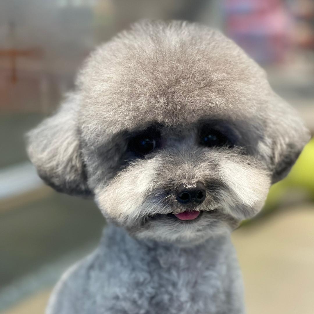 ☀爱喝茶的小太阳☀