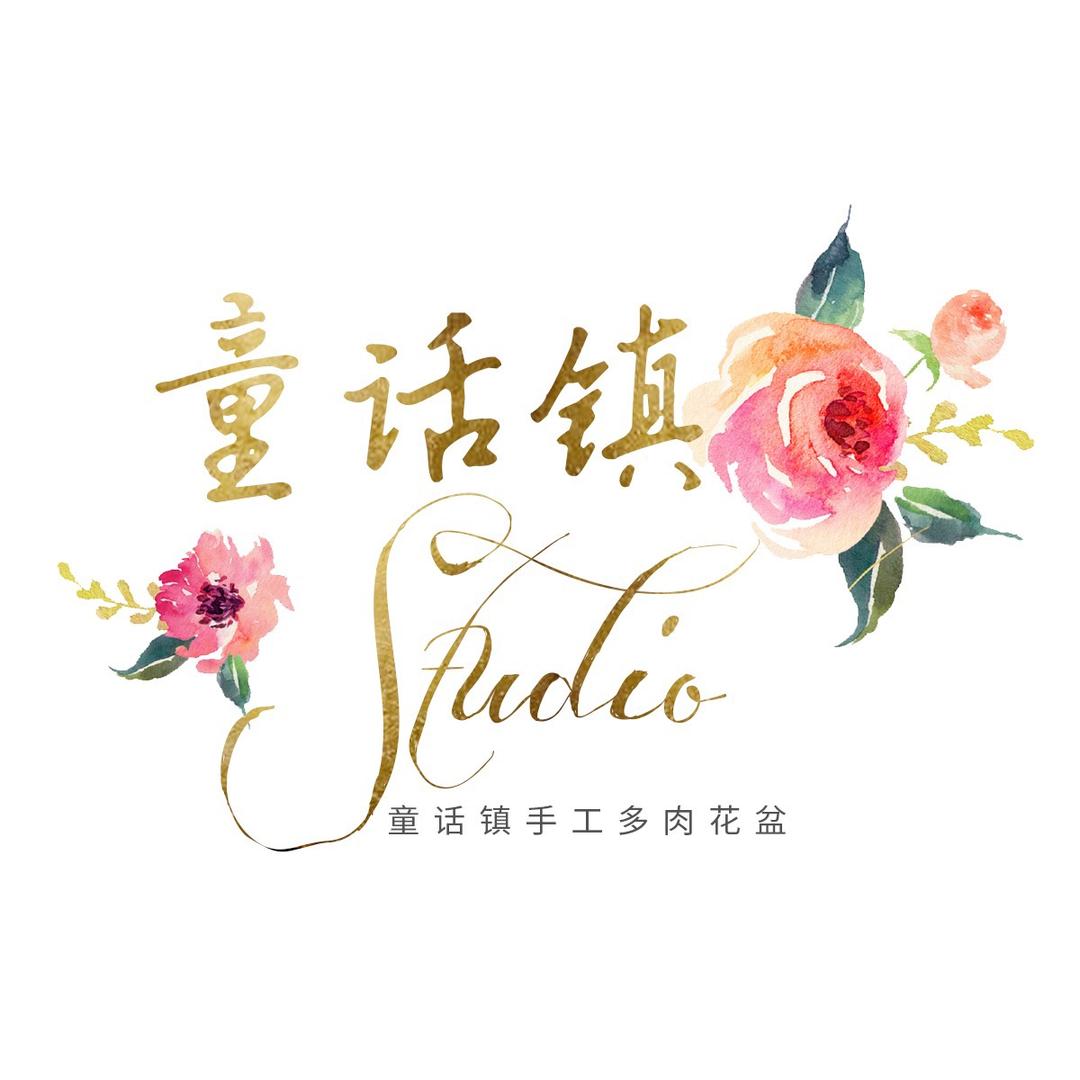 童话镇多肉花器