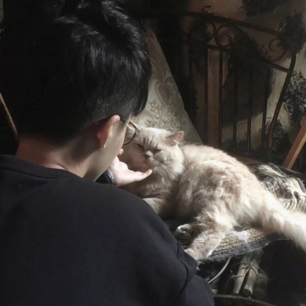 筱.
