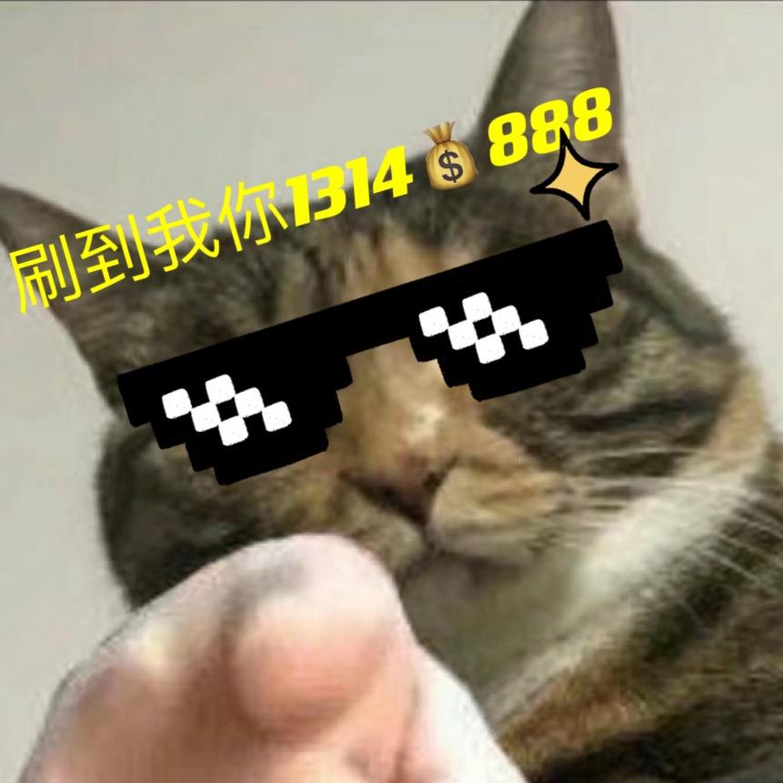 一只小猫888