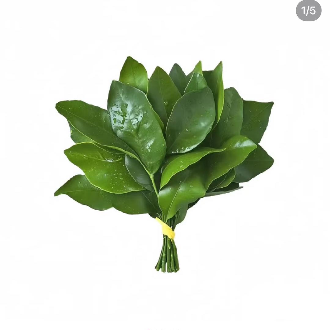 1tttt