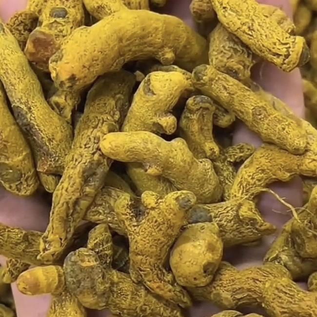 罗平小黄姜供销