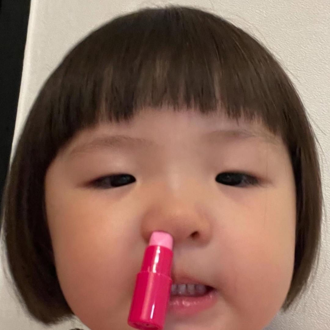 健身的芝士鸡肉帕尼尼