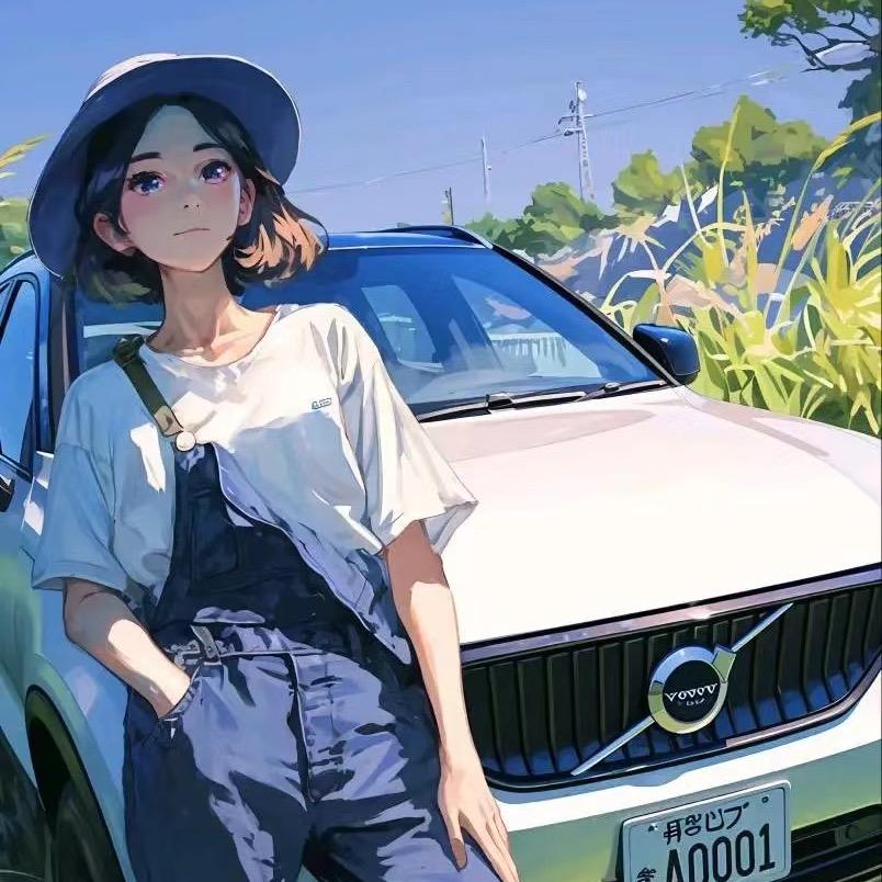 建发上街沃尔沃二手车