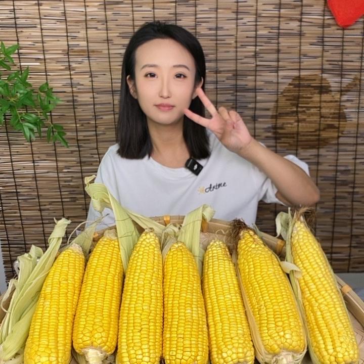 紫建白糯玉米