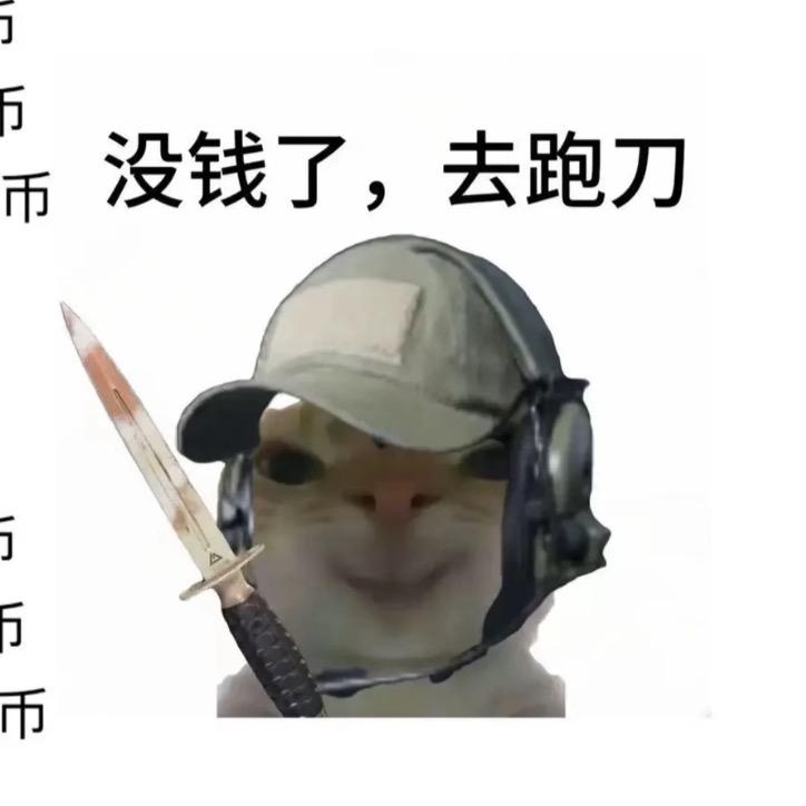 哈吉小鼠🐭（三角洲代肝）