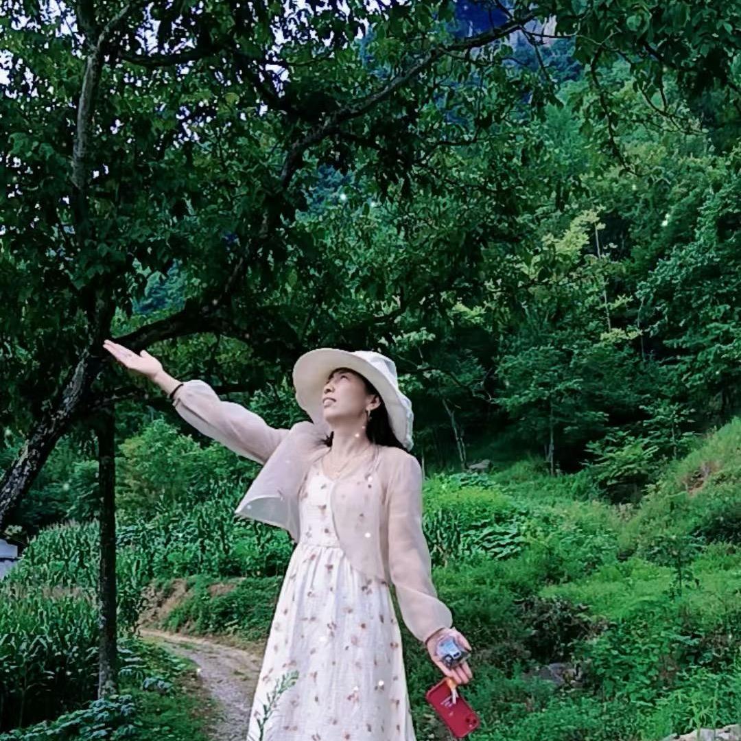 小菊