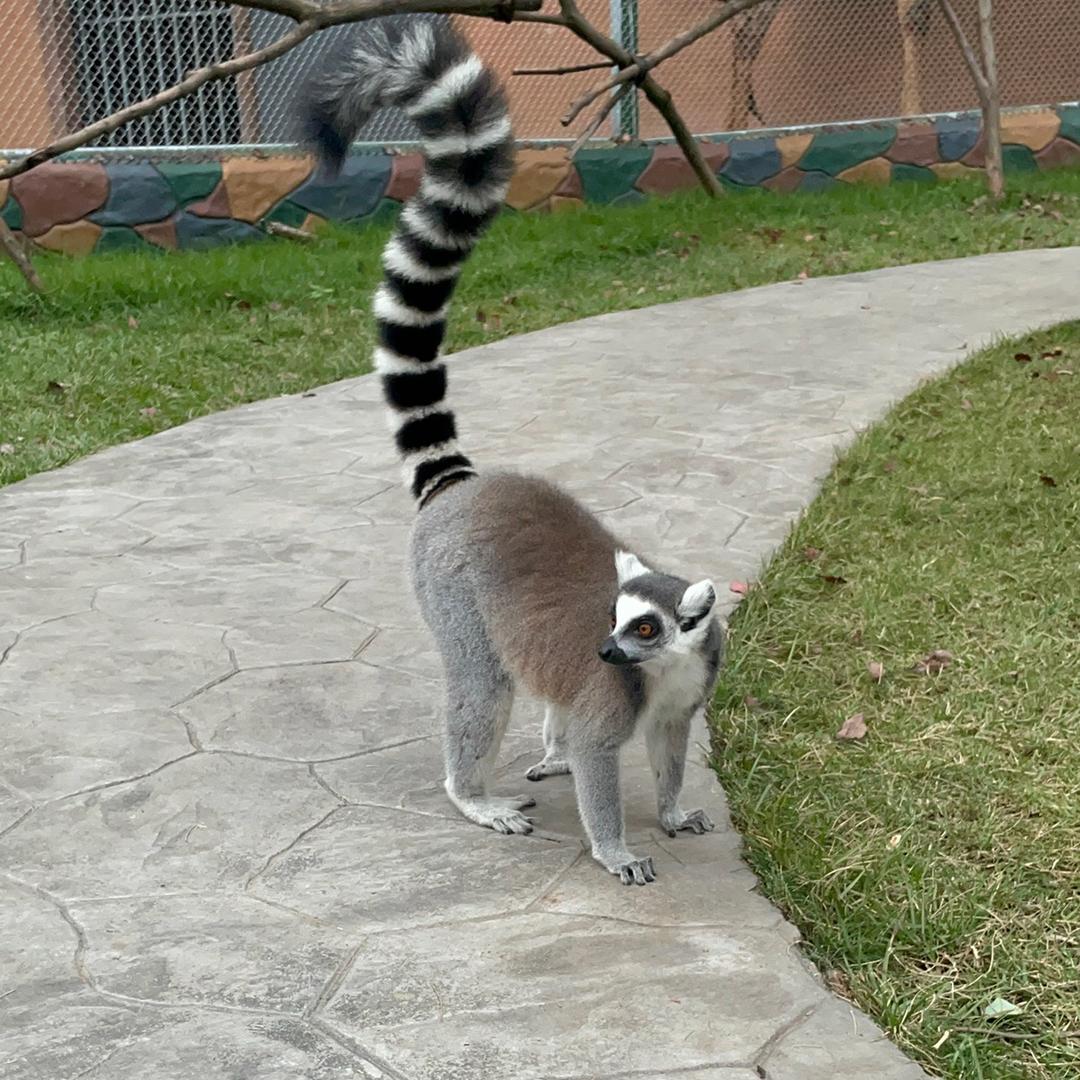 百🐰万๐•̆ ·̭ •̆๐