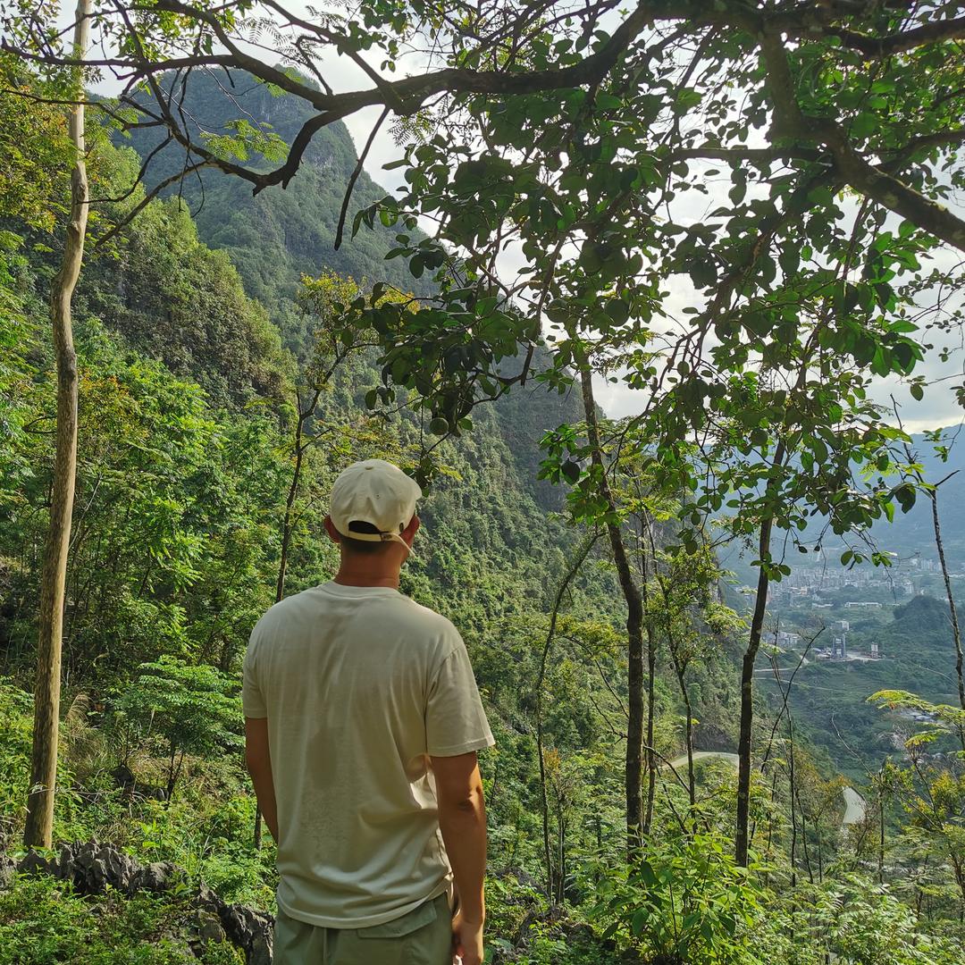 北方小柳在巴马