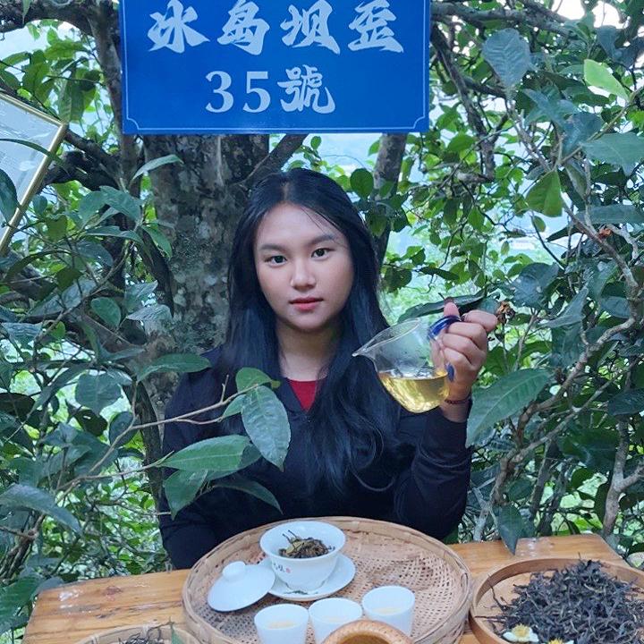 冰岛坝歪茶仕佳