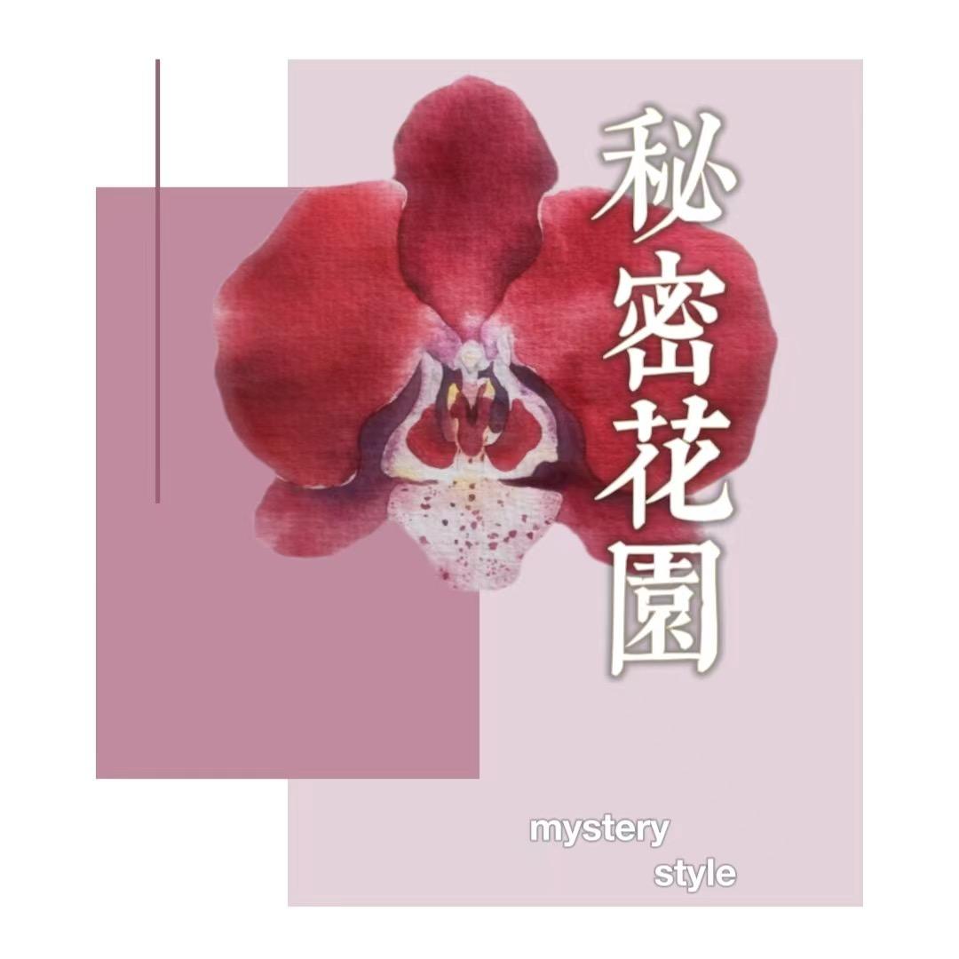 秘密花园精品蝴蝶兰