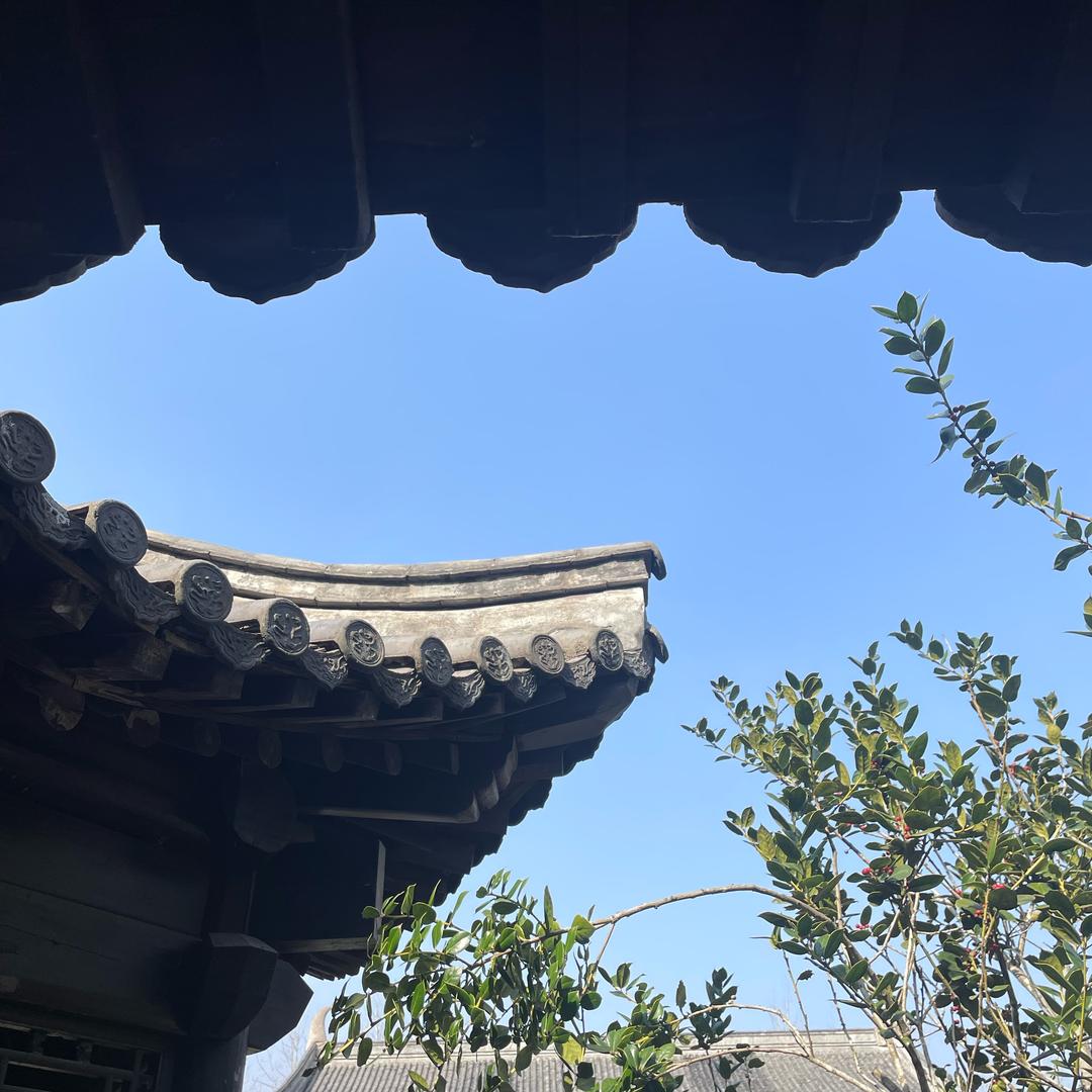 西南望