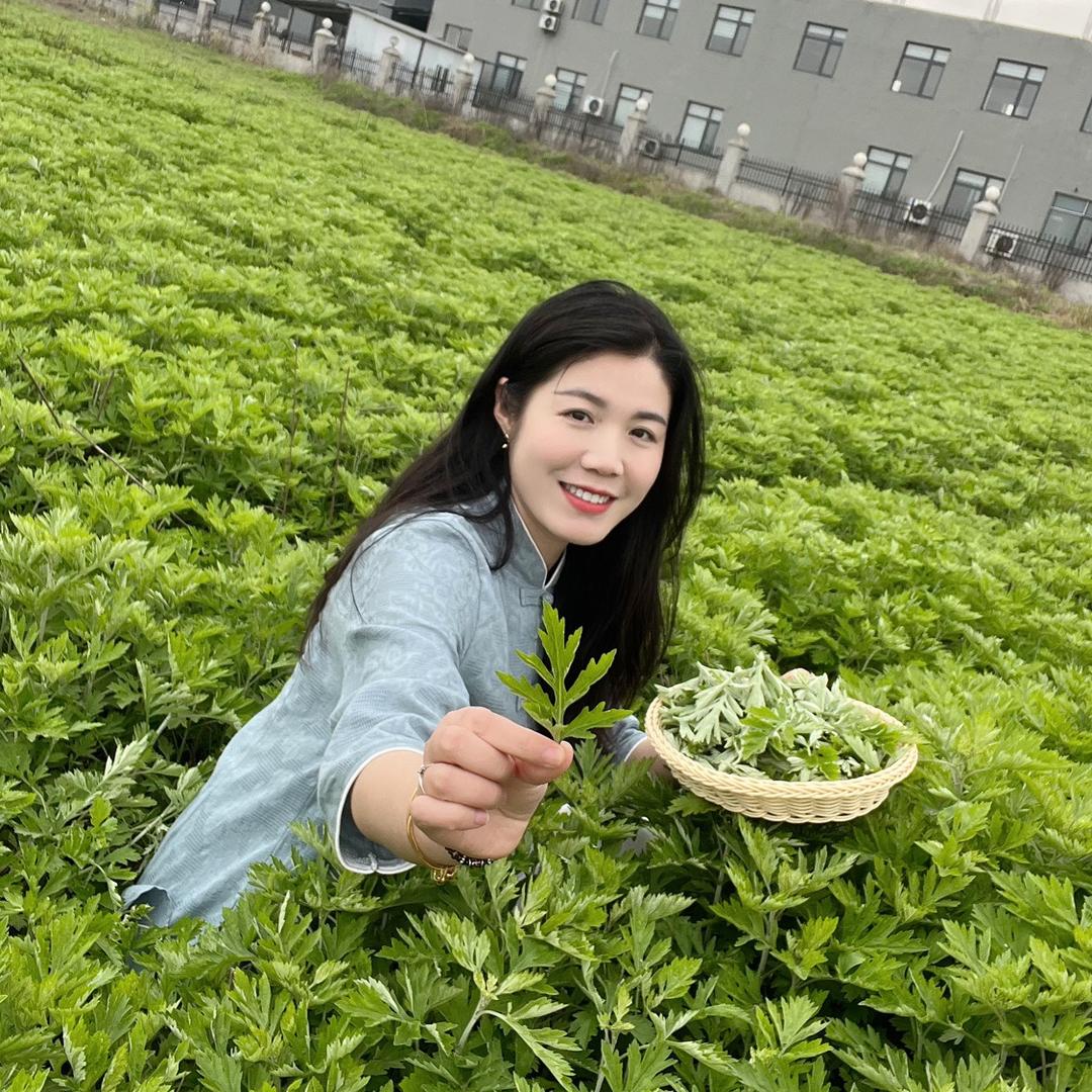 洁哥
