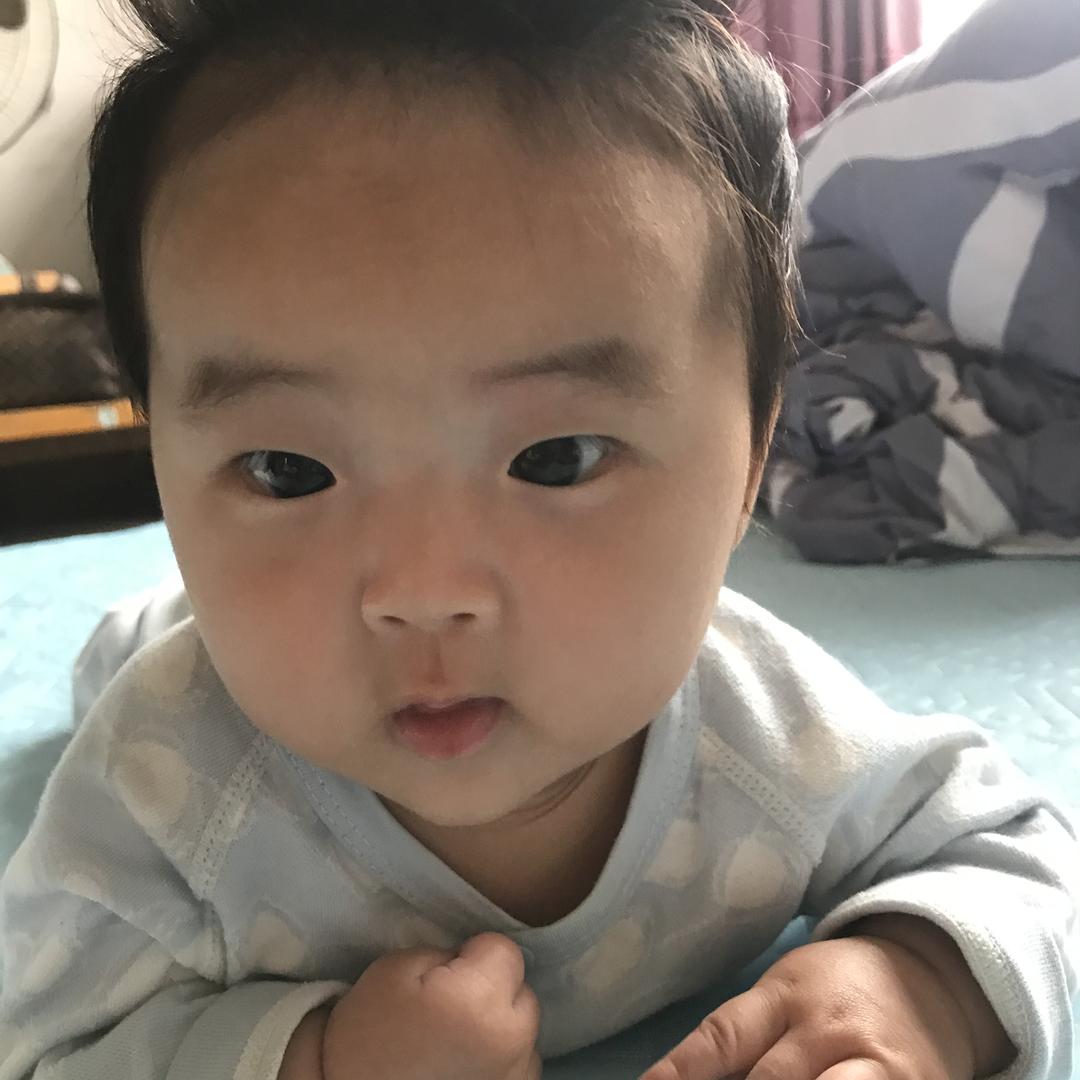 跨区作业收割机