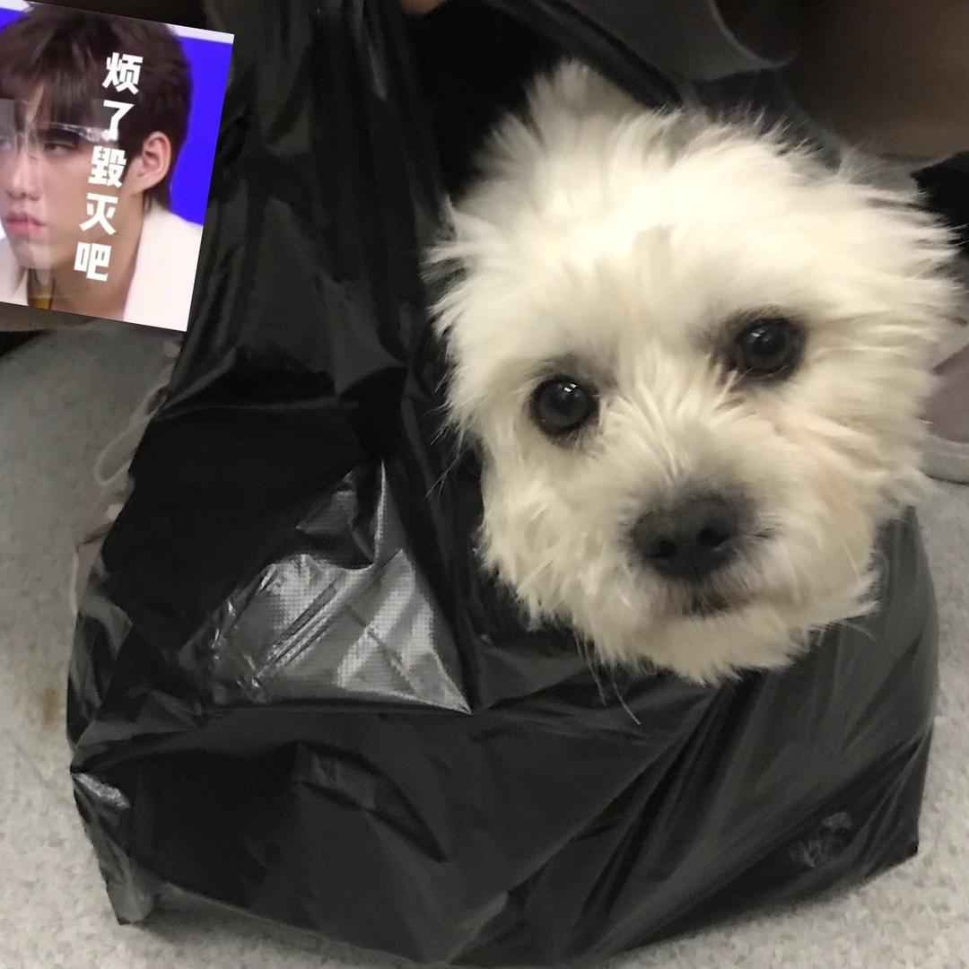 山高不见月