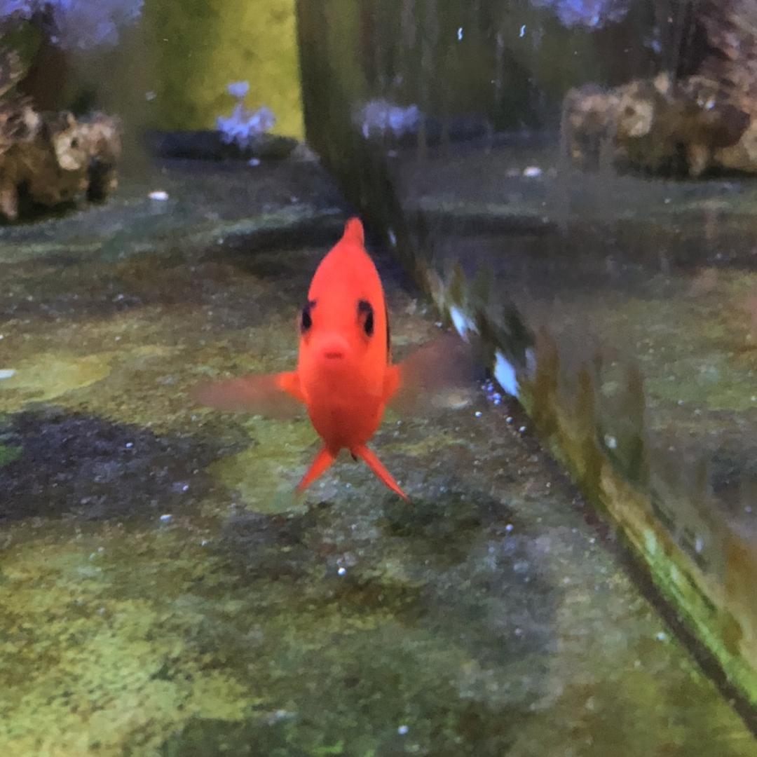 跑不快又爱跑的老艾