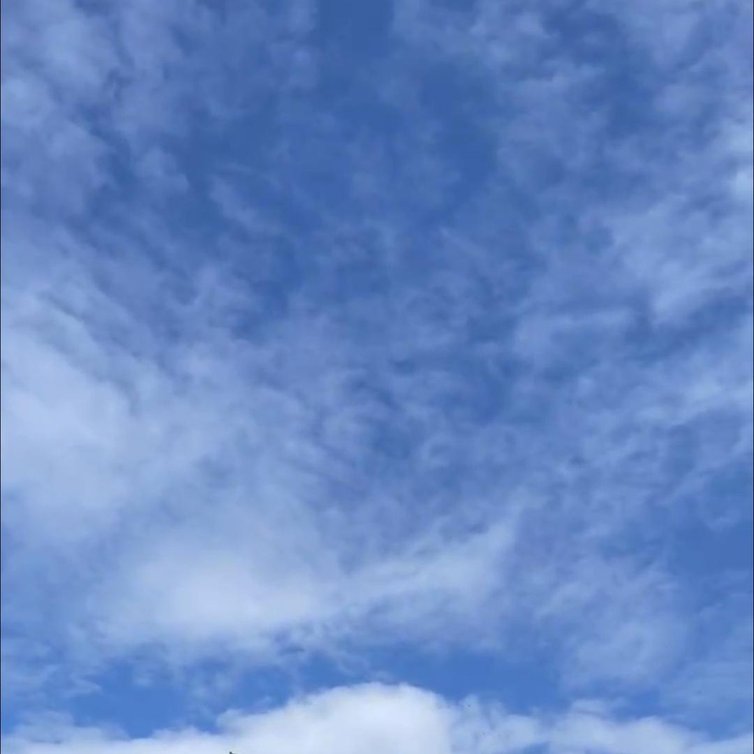 炎坤