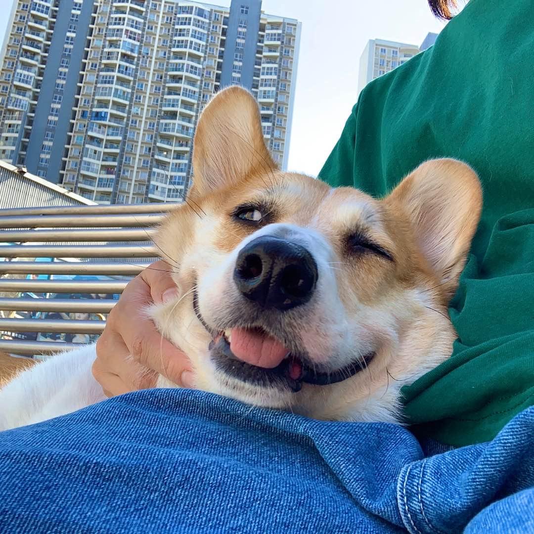ks杰瑞