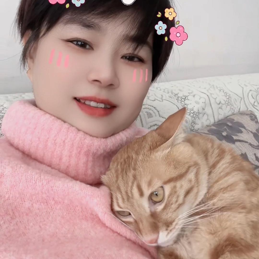 鱼婶婶