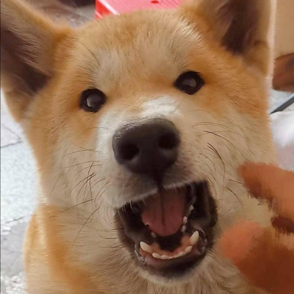 不见花海_